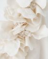 Palm wedding order made. Palm maison×hoshi トッププリーツのエンパイアードレス