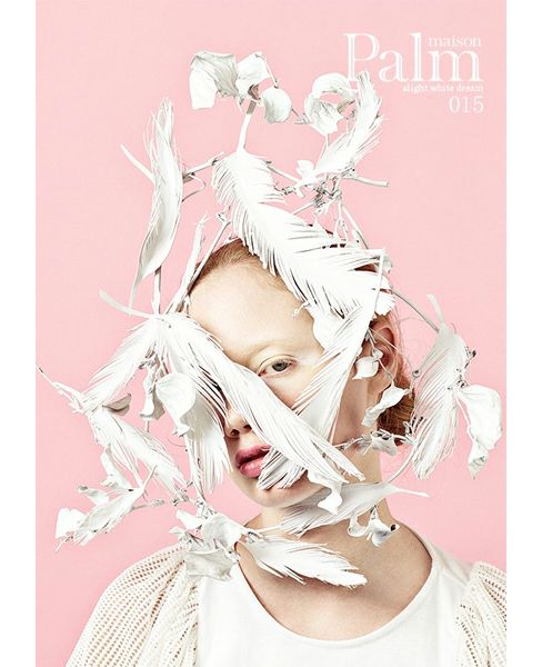 Palm maison lite. 002