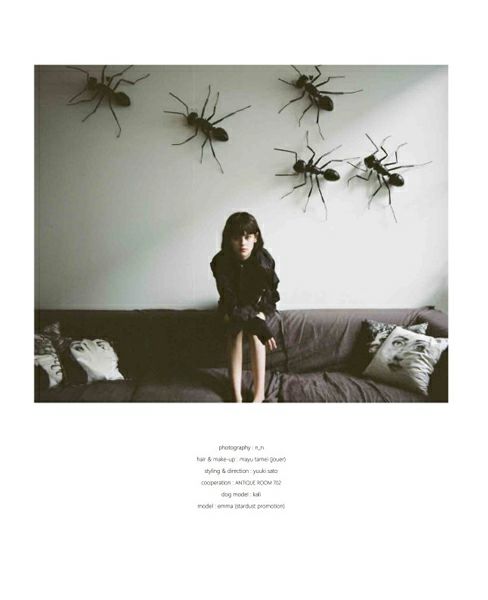 Palm maison lite. 002