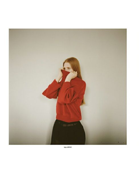 Palm maison lite. 002