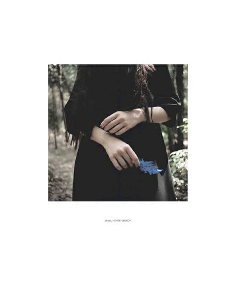 Palm maison lite. 002