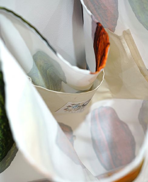 macromauro マクロマウロ.Cacaoman toto [LL]_