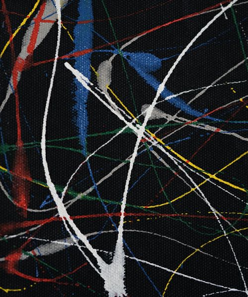 macromauro マクロマウロSPLASH PICTURE mini TOTO black (Palm maison only)スプラッシュ ミニピクチャートートバッグ ブラック