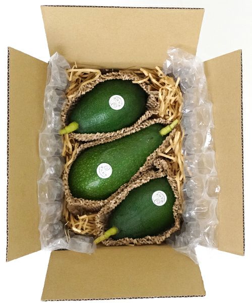 国産アボカド　アボカド ほんわかアボカド　国産アボカド通販