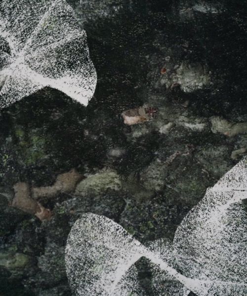 ohtaオオタtree T cs-55T